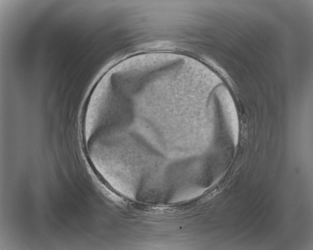 X0000082201475200702170005