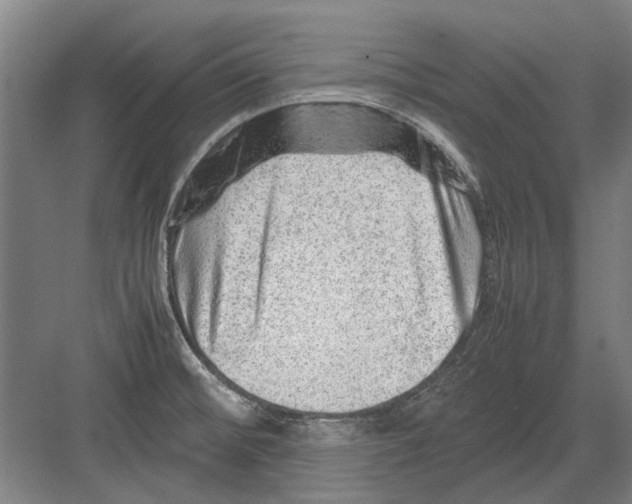 X0000082201476200702170005