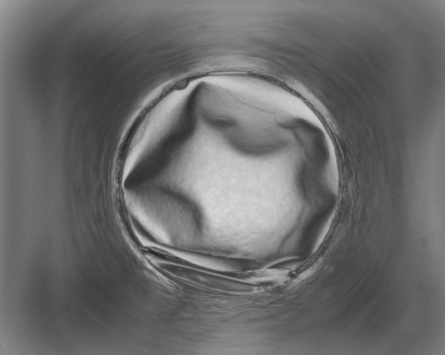 X0000082201477200702170005