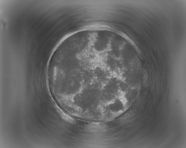 X0000082201478200702170005