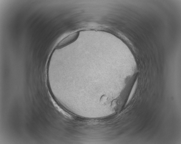 X0000082201479200702170005