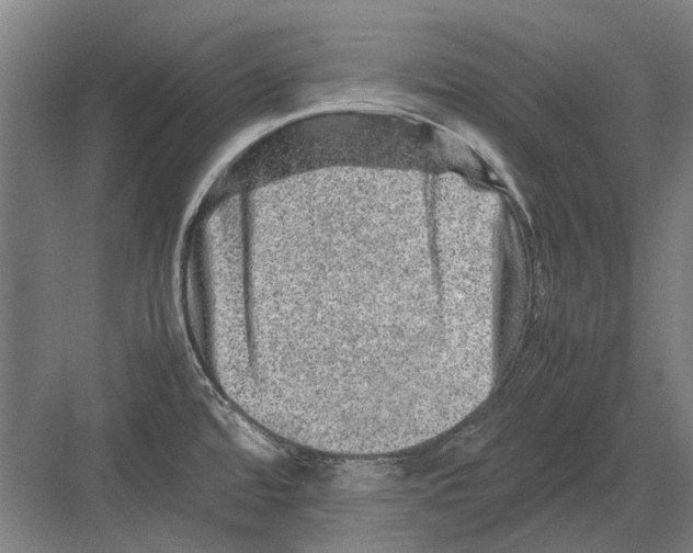 X0000082201480200702170005