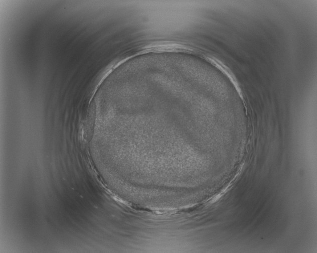 X0000082201481200702170005