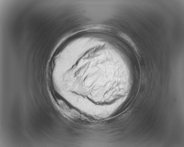 X0000082201483200702170005