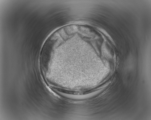 X0000082201484200702170005