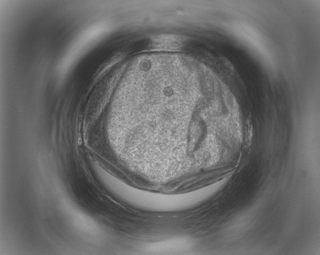 X0000082201487200702170005