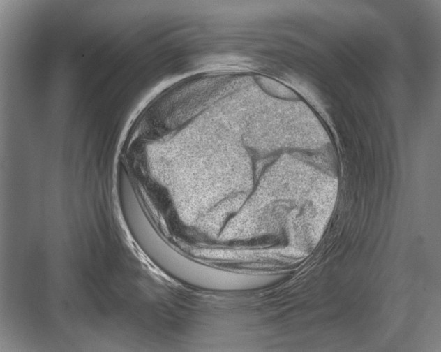 X0000082201488200702170005