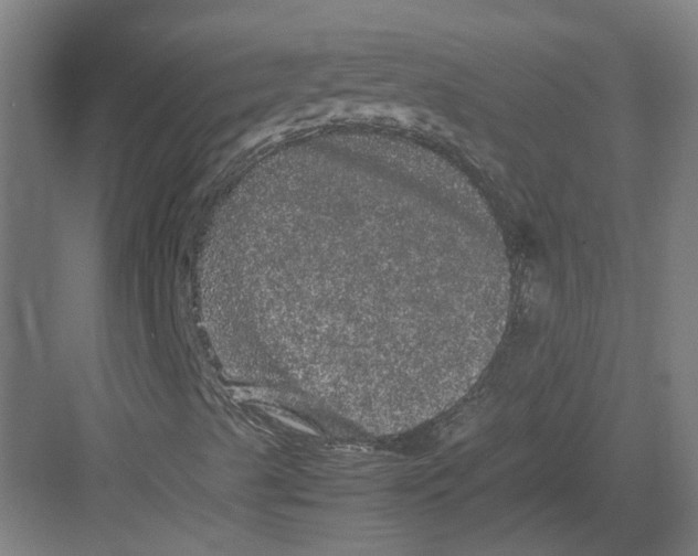 X0000082201489200702170004