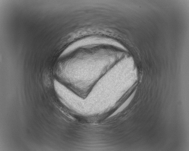 X0000082201490200702170004