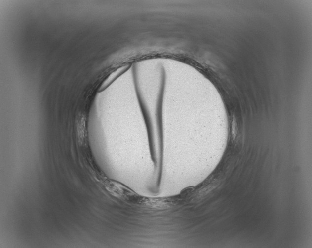 X0000082201492200702170004