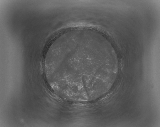 X0000082201493200702170004