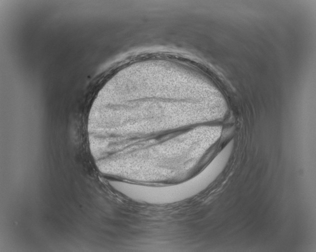 X0000082201494200702170004