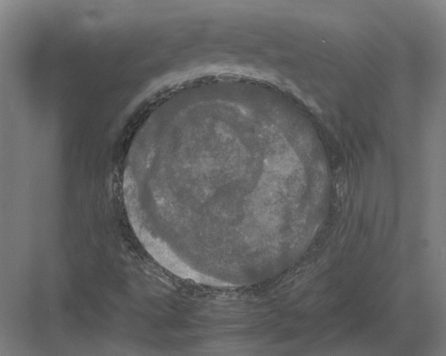 X0000082201495200702170004