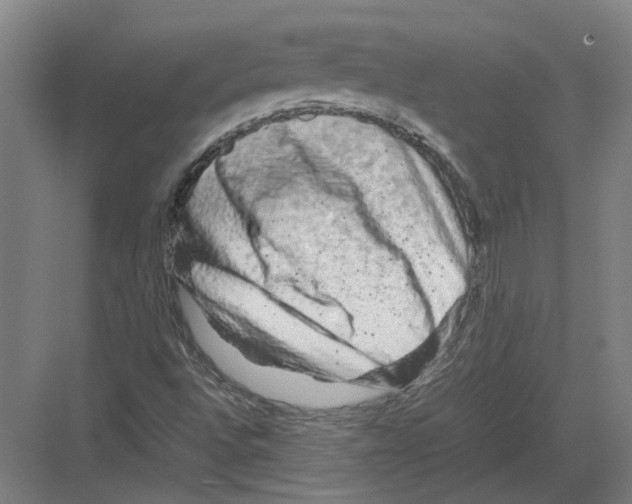 X0000082201496200702170004