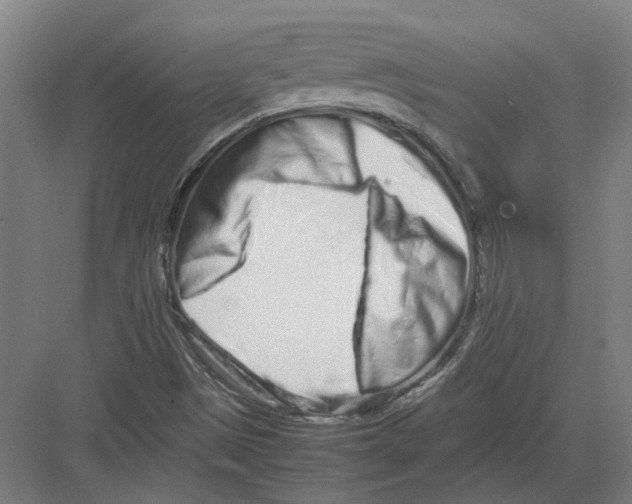 X0000082201497200702170004