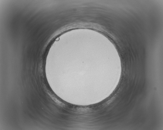 X0000082201498200702170005