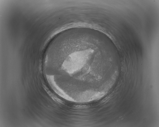 X0000082201499200702170005