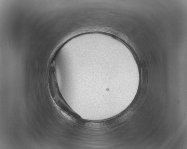 X0000082201500200702170005