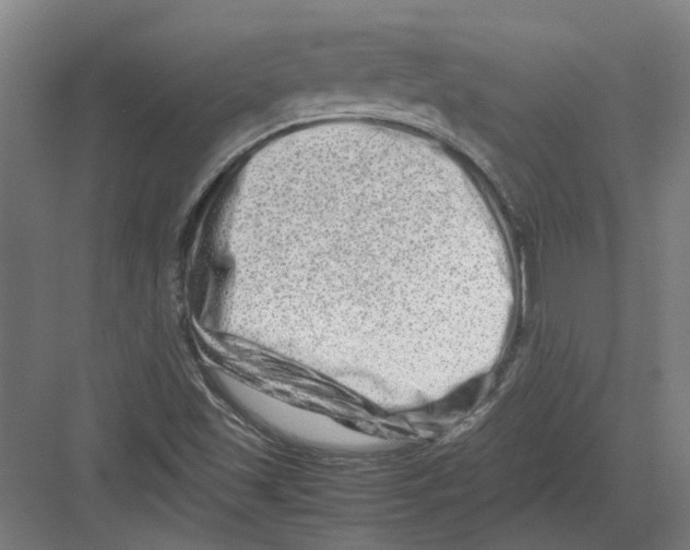 X0000082201501200702170005