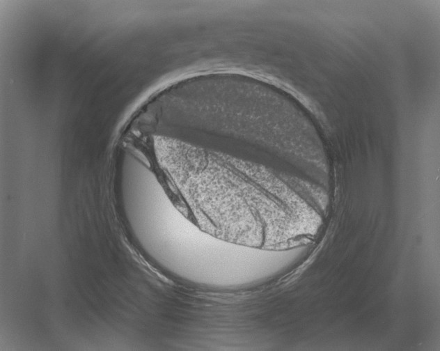 X0000082201502200702170005