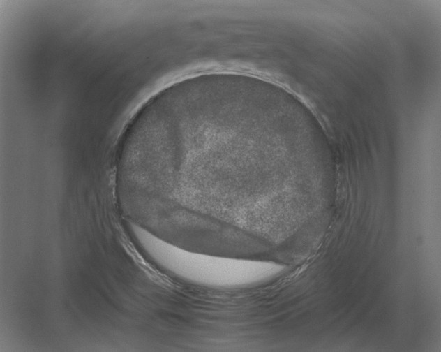 X0000082201503200702170005