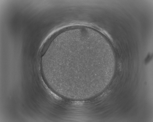 X0000082201504200702170005