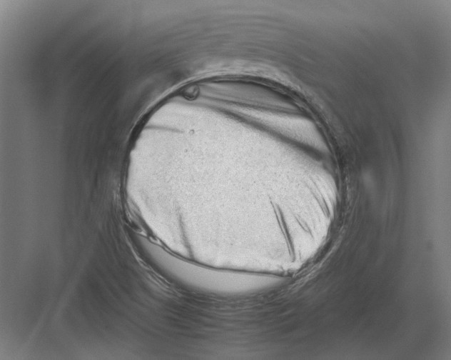 X0000082201505200702170005