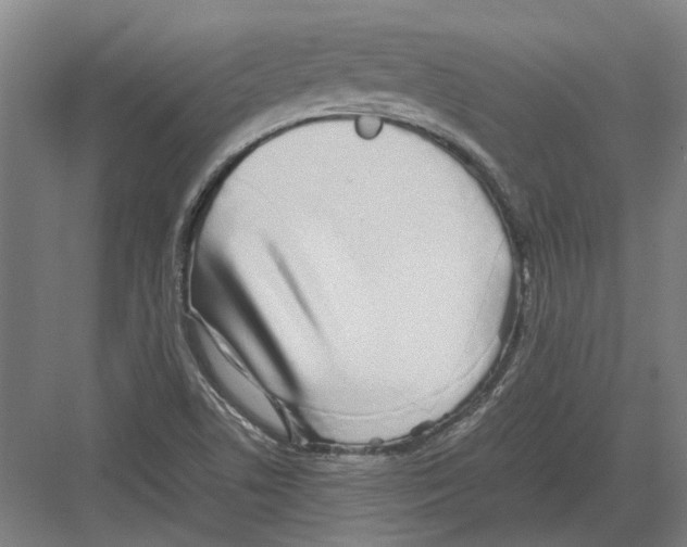 X0000082201506200702170005