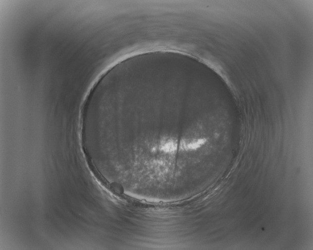 X0000082201508200702170005