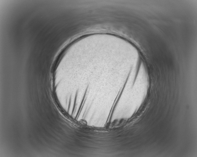 X0000082201509200702170005