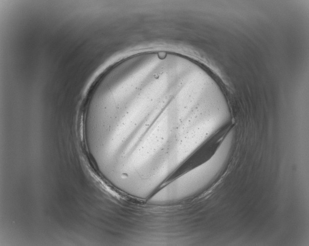 X0000082201510200702170005