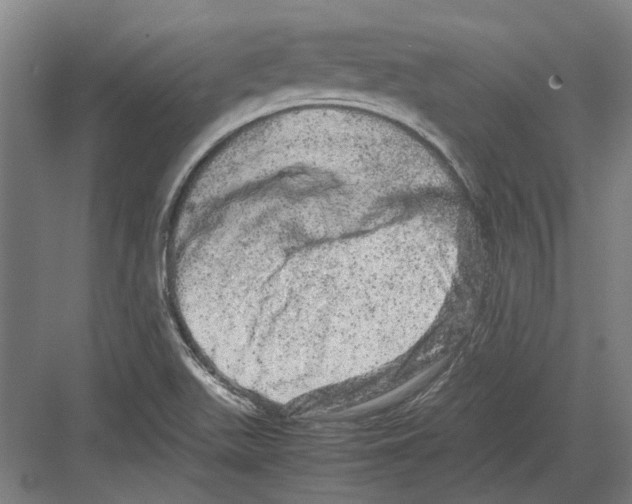 X0000082201511200702170005