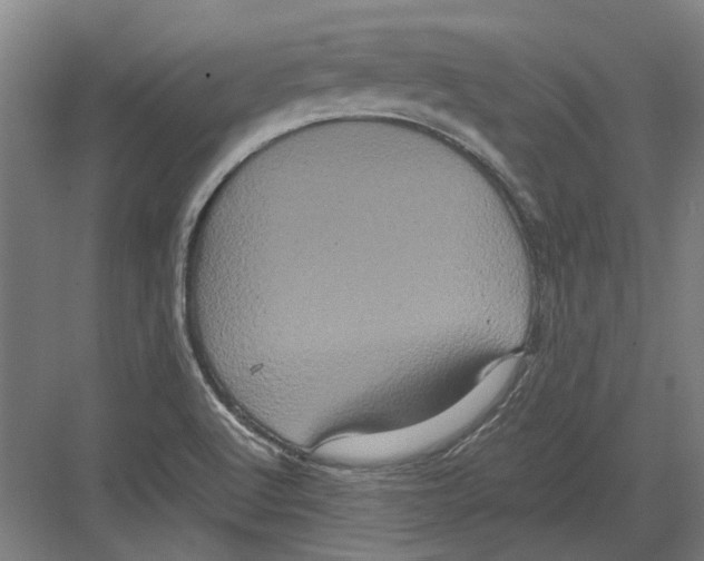 X0000082201512200702170005