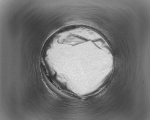 X0000082201513200702170005