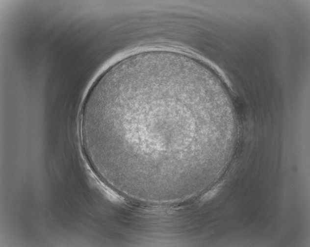 X0000082201514200702170005