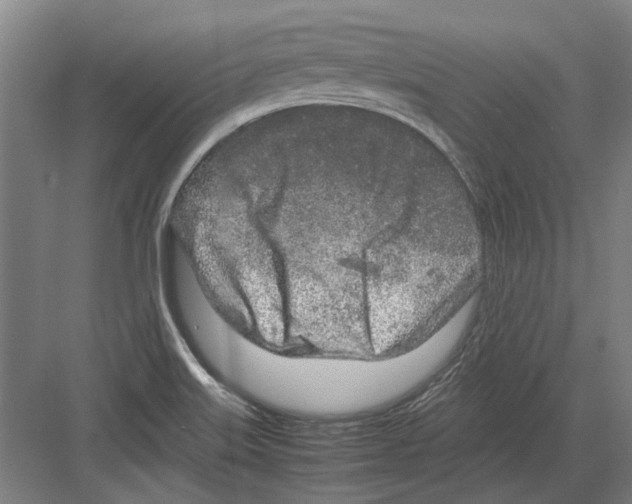 X0000082201515200702170005