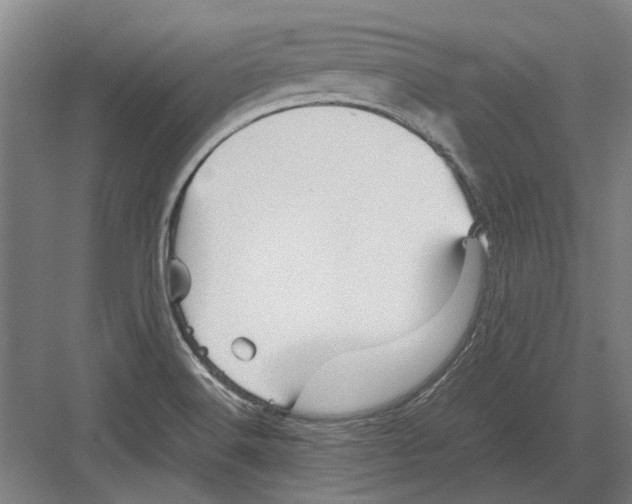 X0000082201516200702170005