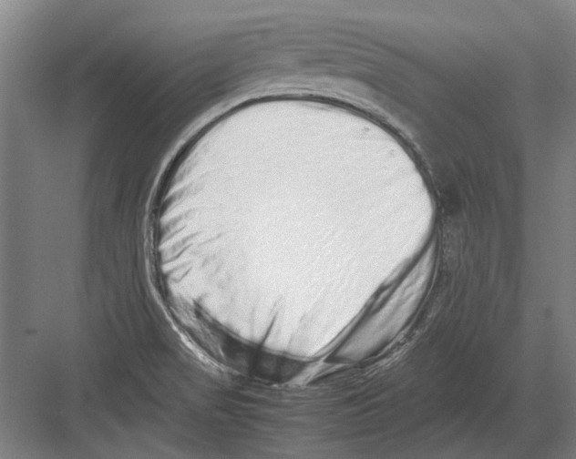 X0000082201517200702170005