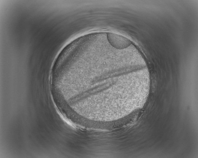 X0000082201519200702170005