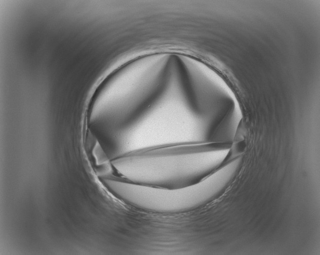 X0000082201520200702170005