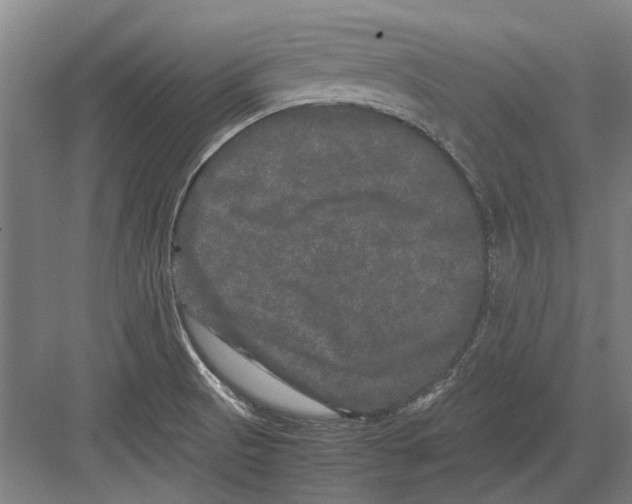 X0000082201521200702170005