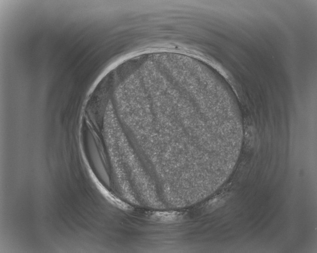 X0000082201523200702170005