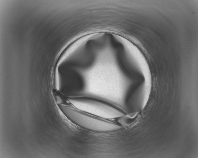 X0000082201524200702170005