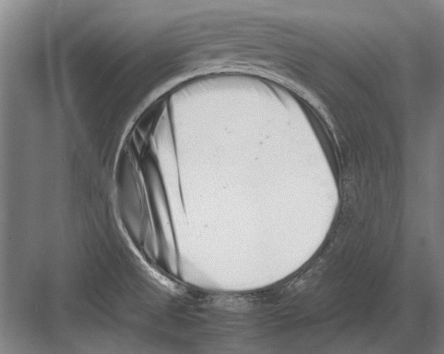 X0000082201525200702170005