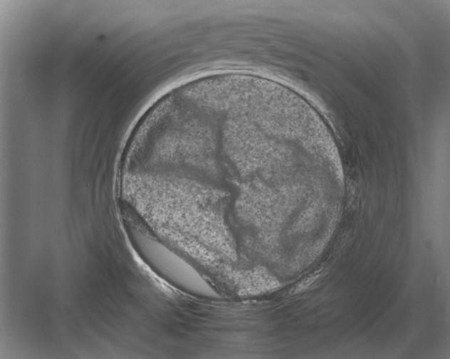 X0000082201527200702170005