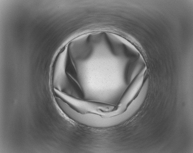 X0000082201528200702170005