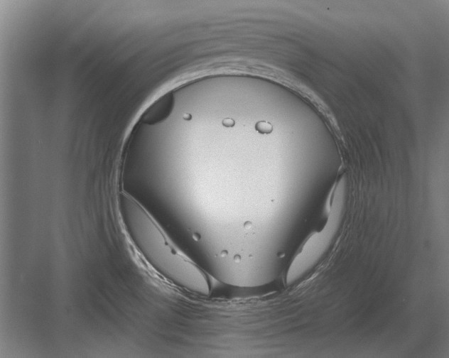 X0000082201530200702170005