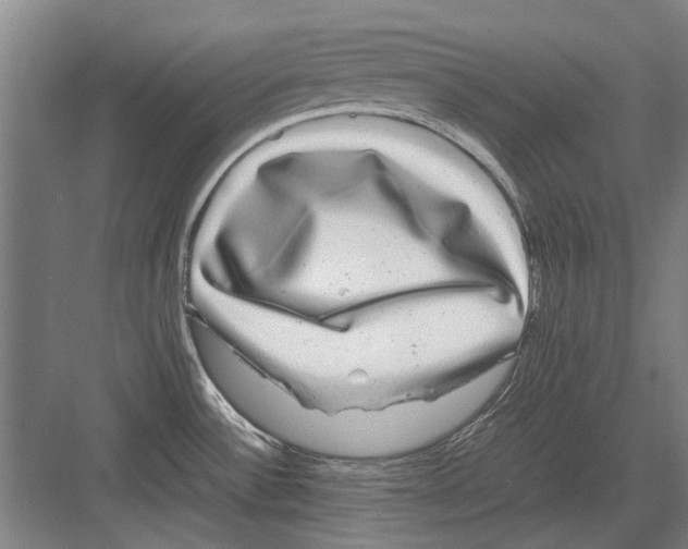 X0000082201532200702170005