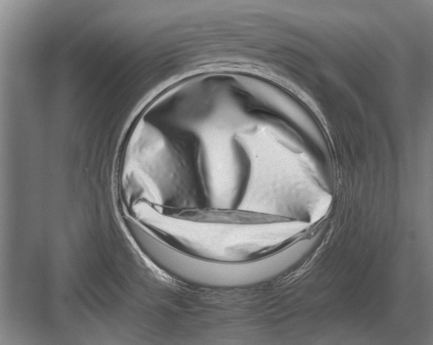 X0000082201533200702170005