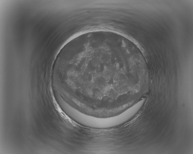 X0000082201534200702170005